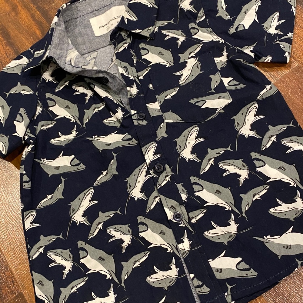 5 button down shirt bundle - Picture 11 of 13